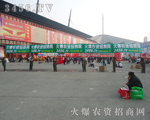 生機勃勃的火爆隊伍