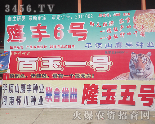 平頂山市鷹豐種業(yè)有限公司