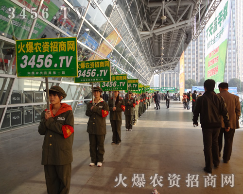 𱬾W(wng)鲻иĊ^l(f)չѴ