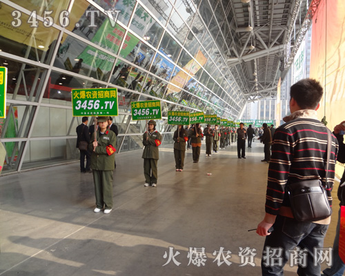 𱬈Fꠌ(zhn)һȫԸԳֲи