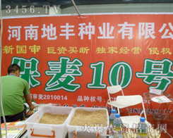 河南地豐種業(yè)有限公司