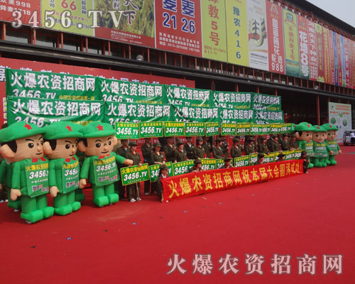 𱬑(zhn)ʿ(jin)ֲиƴǰM(jn)