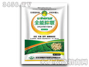 為峰-全能胖墩-花生專用高濃縮營養(yǎng)調(diào)控劑