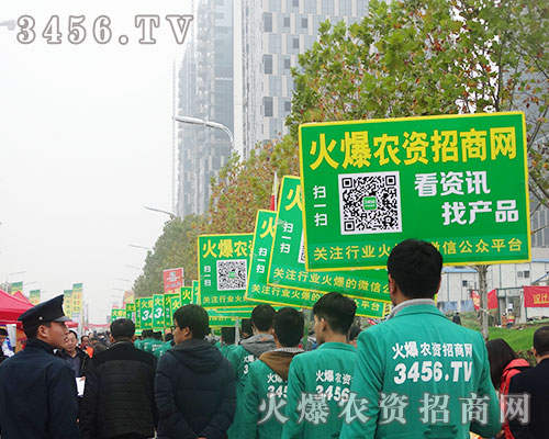 3456.tvFYһyֲ31ֲ