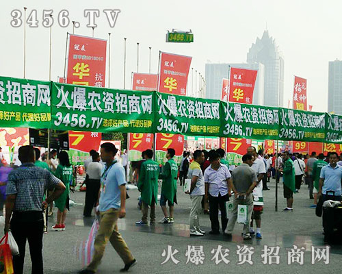 r(nng)Y̾W(wng)𺳳ϯ2016ϷNӕ