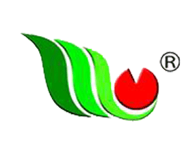 ÷NI(y)޹˾2015IN-2015ڶʮһùINI(y)[