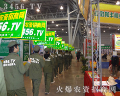 ˵ĳɹԴڻ𱬈F꠵Ċ^(zhn)