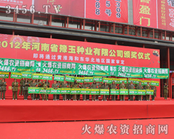 (ni)̎̎ʬF(xin)𱬬F(xin)