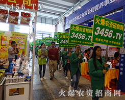 r(nng)YW(wng)ԌAÅչ̂ٝP