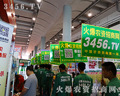 𱬾W(wng)Fչ(zhn)Գ־Ǆ