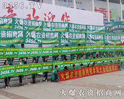 r(nng)YW(wng)Ԍÿ