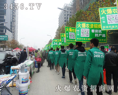 r(nng)Y̾W(wng)2015ֲϷv