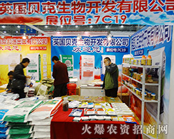 Ӣ(gu)ؐ(jin)|(zh)(w)