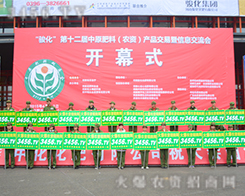 @ӵꇄֻ3456.TVrY̾W