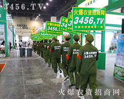 3456.TVٴγ(zhn)ݷNӕչʾr(nng)Y˵ľò