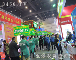 eOϵĻr(nng)Y̾W(wng)(zhn)ʿ