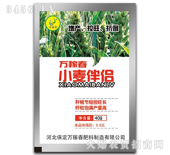 小麥伴侶-萬(wàn)稼春