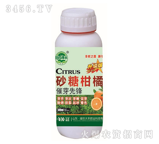 ɰǸٴѿh-@S-SʘI(y)