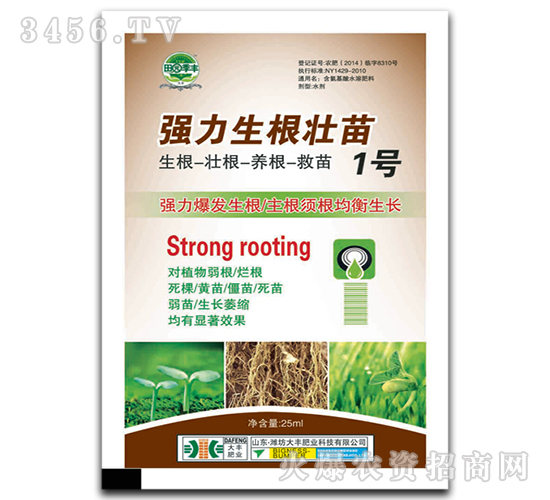 (qing)1̖(ho)-@S-SʘI(y)