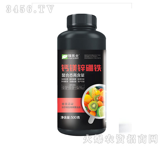 ϑB(ti)ߺ}V\F-ژ(l)ʿ-֠