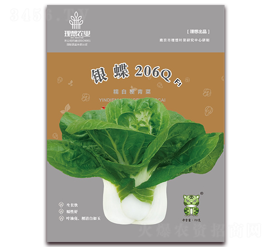 y206Q-๣˷N-r(nng)I(y)