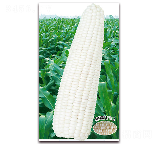 f(wn)Ŵһ̖(ho)-Ŵ׷N-ANI(y)