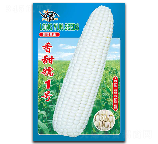 Ŵ1̖(ho)-Ŵ׷N-ܷNI(y)