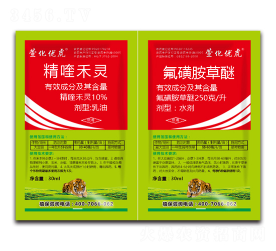 (zhun)úͨͳ݄-滯(yu)-滯h(yun)