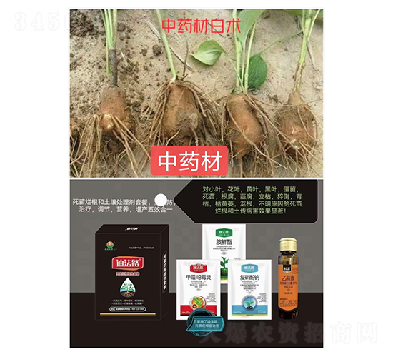 砀MײͣˎČ(zhun)ã-Ϸ·-ZM