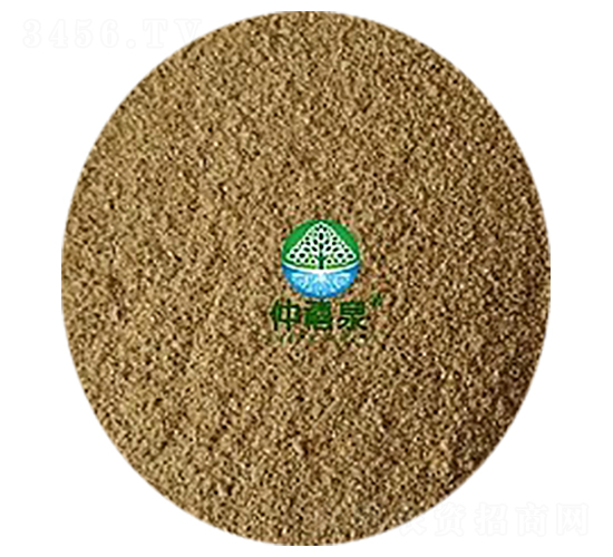 ݲѿߗU1000|-gȫܣ-Ȫ