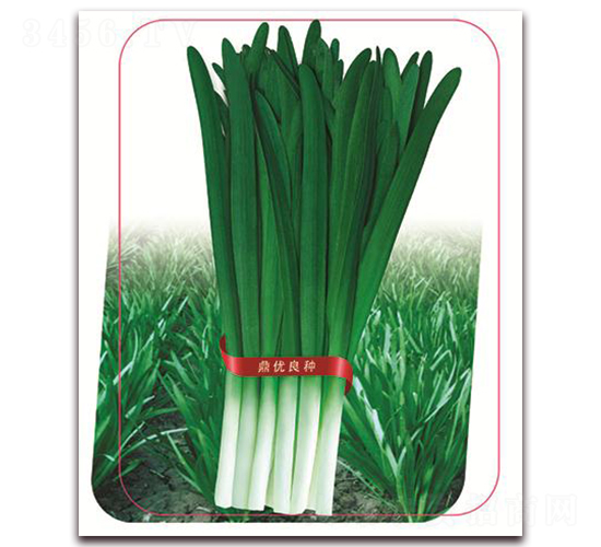 ־9̖-~˷N-(yu)r(nng)I(y)