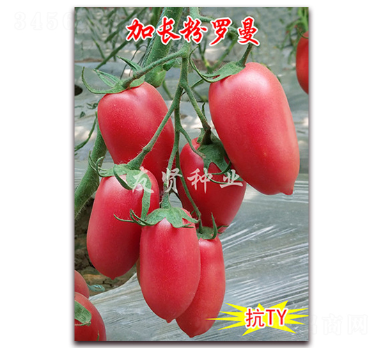 L(zhng)_-͹ѷN-tNI(y)