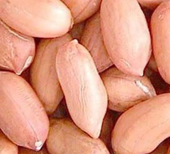 1̖(ho)-N-Sr(nng)I(y)