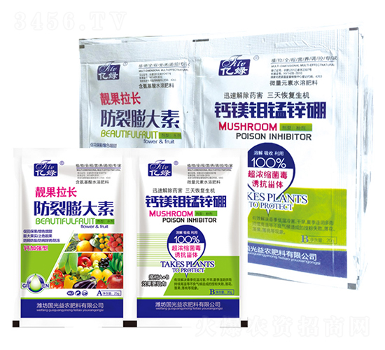 nL(zhng)+}Vfi\-(gu)r(nng)