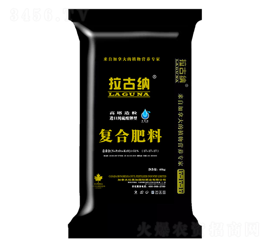 ͏ͺϷ17-17-17-ż{-ʘI(y)