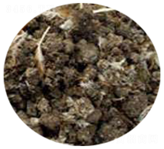 ͸uS-(qing)r(nng)ʘI(y)