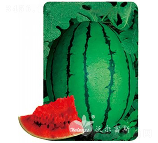 紺F1紺tYƷϣ-ϷN-֠˹