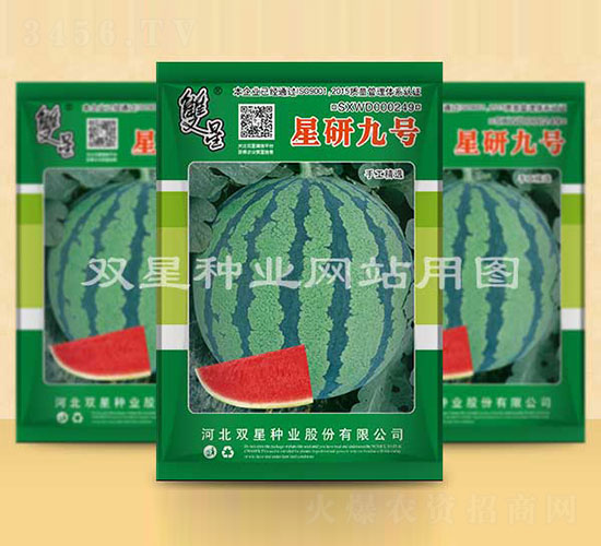 о̖(ho)-ϷN-pǷNI(y)