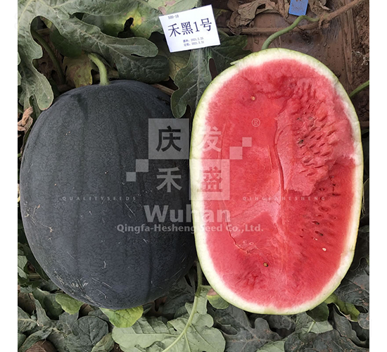 ̺1̖(ho)-ϷN-cl(f)ʢ