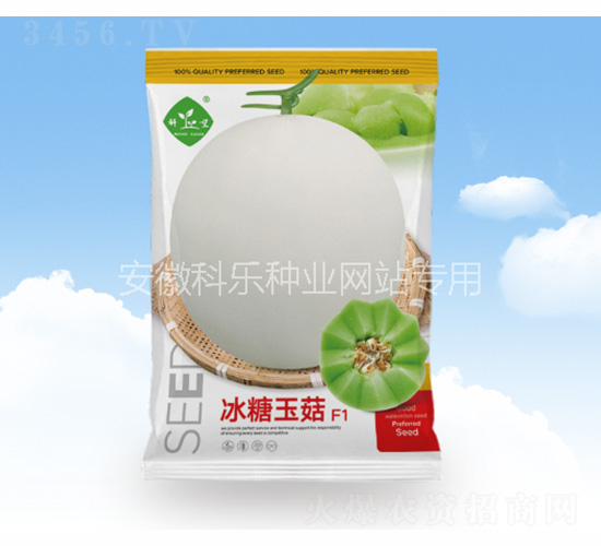 冰糖玉菇-科樂種業(yè)