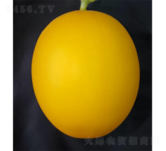 3̖(ho)-ϷN-r(nng)ƷN