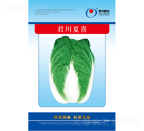 君川夏喜-白菜種子-君川種業(yè)