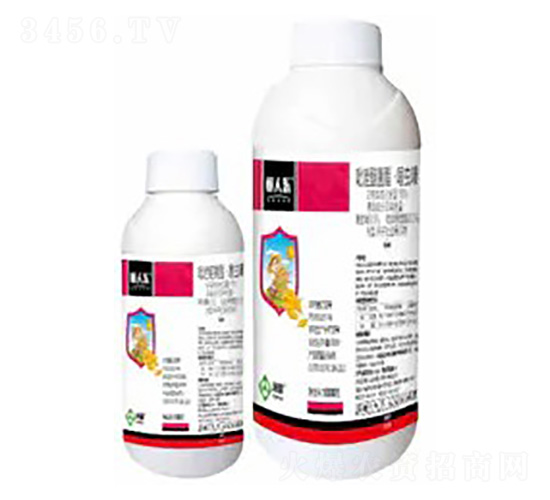 10%ѾxືN̎Ҹ-˘(l)-՘(l)