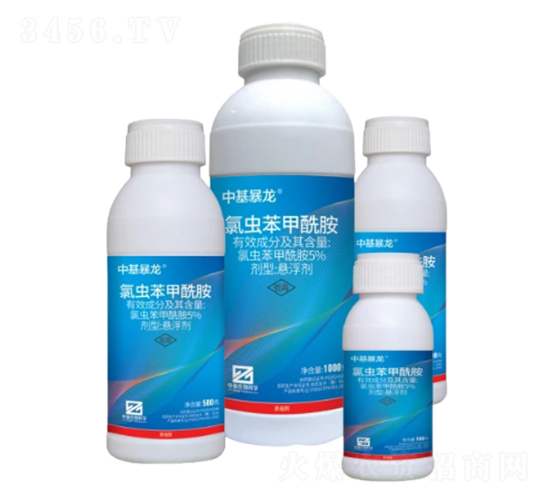 5%x(chng)ҸSC-л-лƌW(xu)