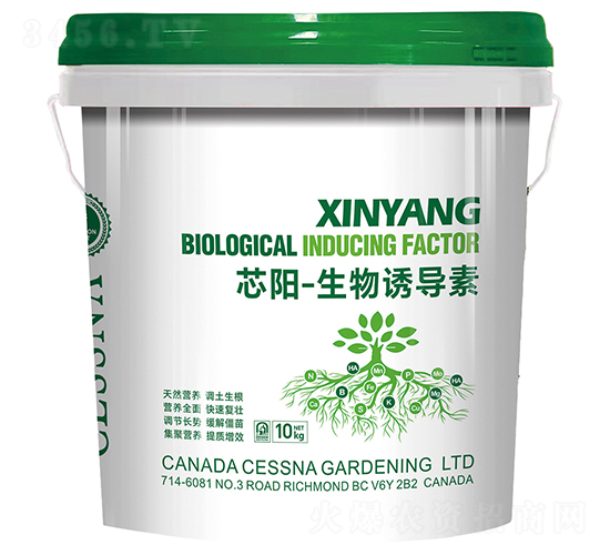 о(yng)-T(do)-ЅRr(nng)I(y)