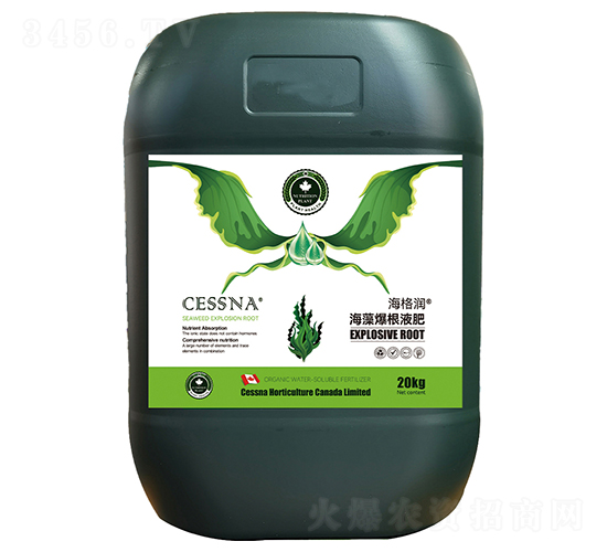 屬Һ-(rn)-ЅRr(nng)I(y)