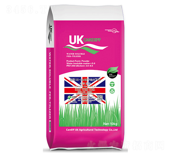 Ӣ(gu)UK-CardiffϷG3-Ϸ