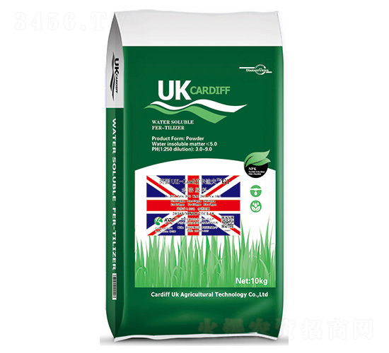 Ӣ(gu)UK-CardiffϷG1-Ϸ