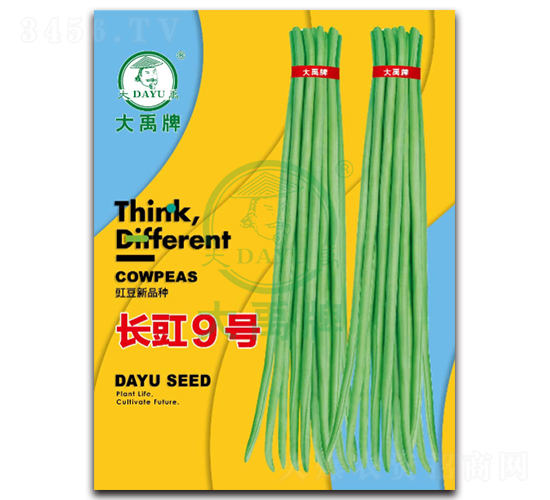 L(zhng)9̖(ho)-N-NI(y)