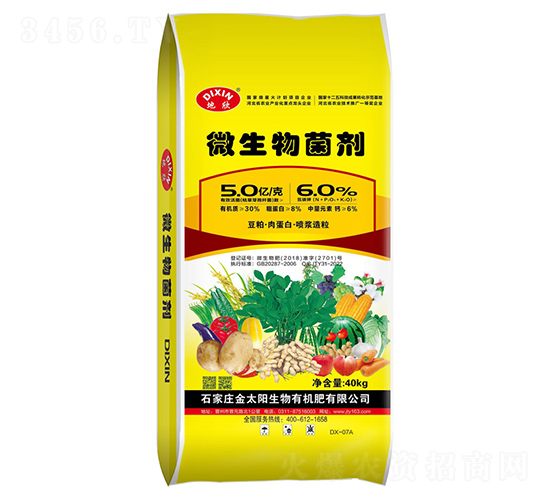 ΢(ni)Sػ|(zh)Tᣩ--̫